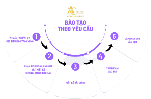 Lộ trình đào tạo kế toán trưởng bản lĩnh